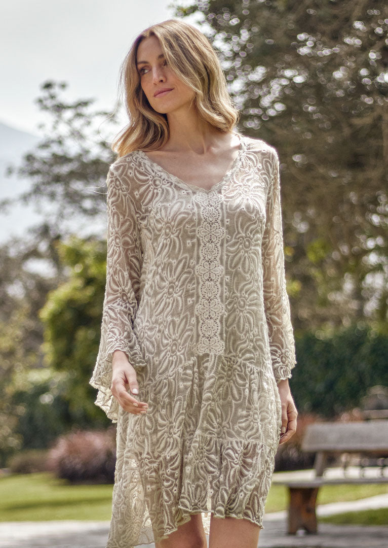 Cecibell Embroidered Silk Dress